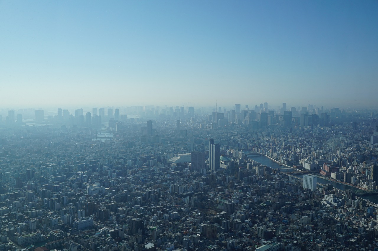 2024年11月20日 第26页