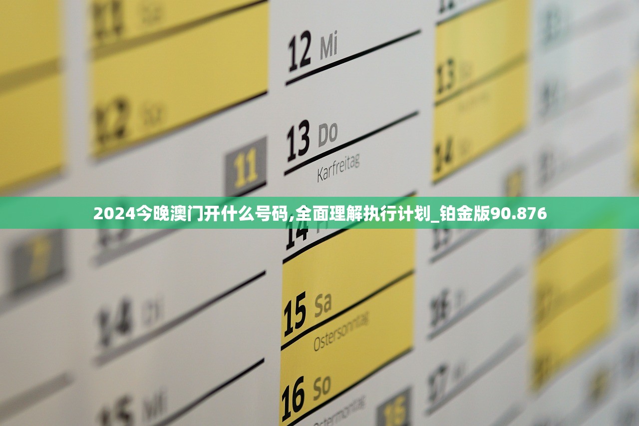 2024今晚澳门开什么号码,全面理解执行计划_铂金版90.876