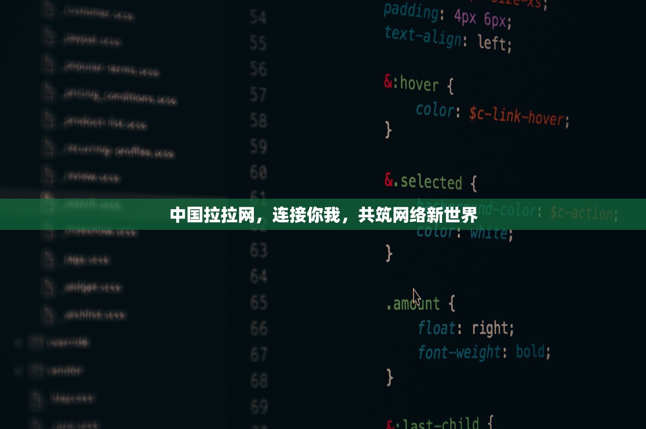 中国拉拉网，连接你我，共筑网络新世界