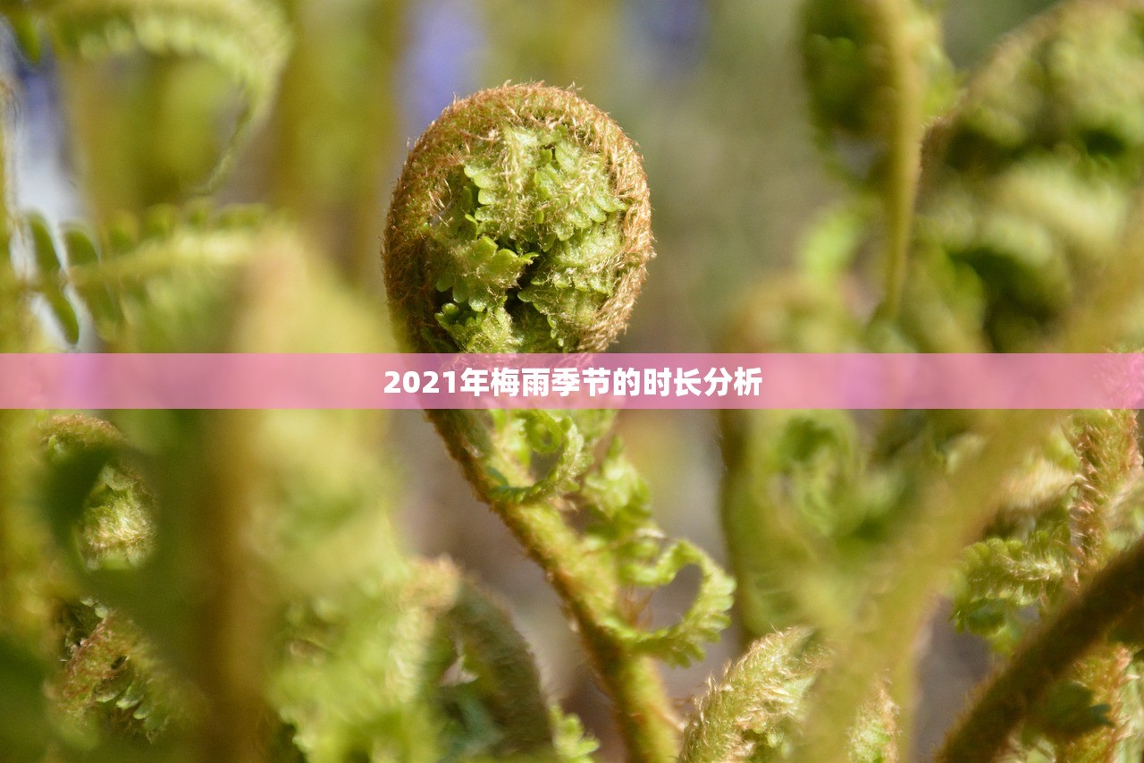 2021年梅雨季节的时长分析