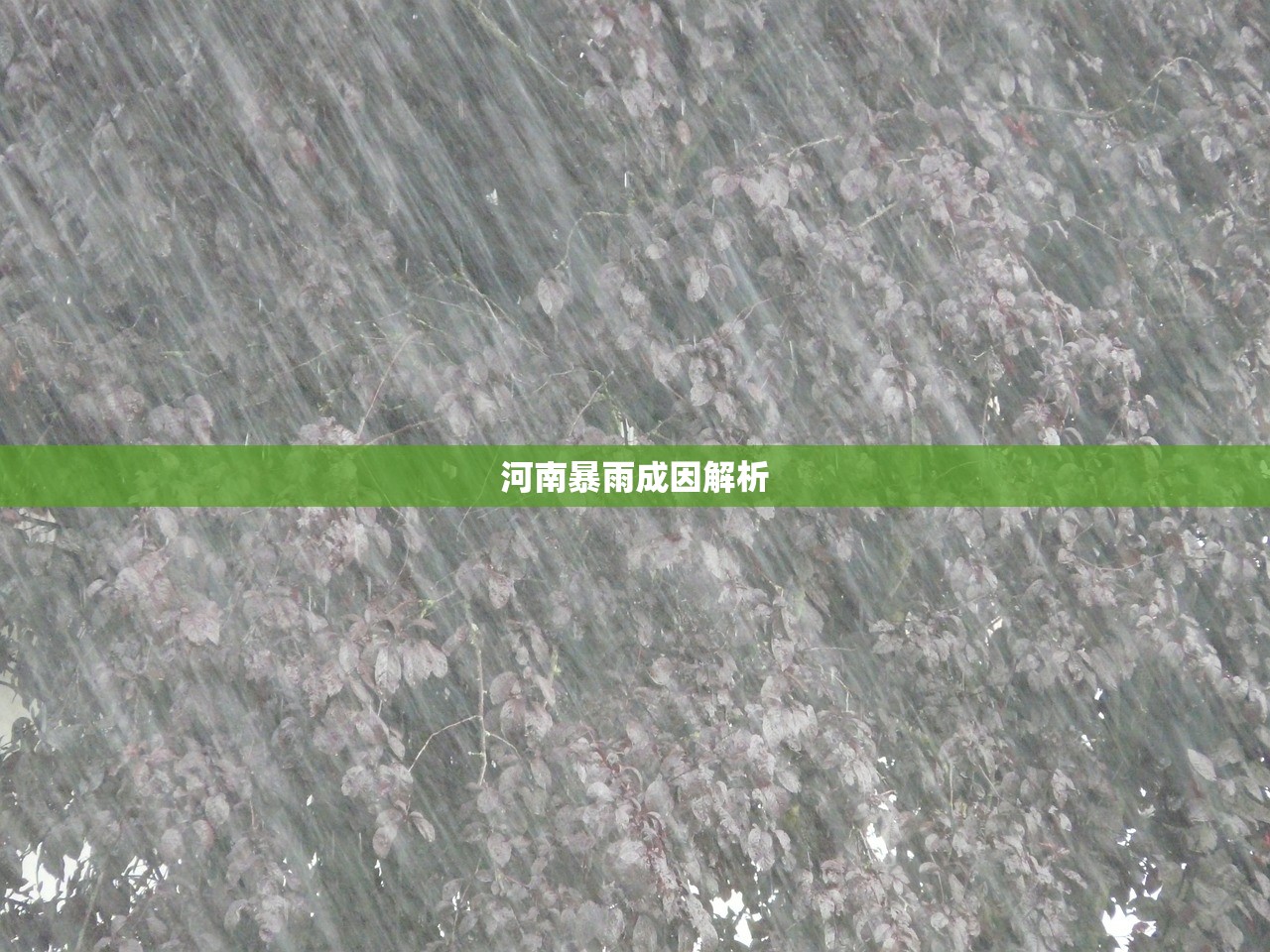 河南暴雨成因解析