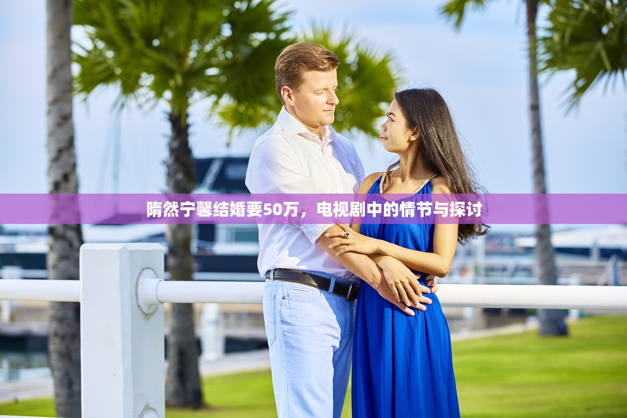 隋然宁馨结婚要50万，电视剧中的情节与探讨