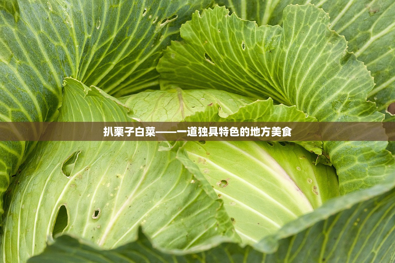 扒栗子白菜——一道独具特色的地方美食