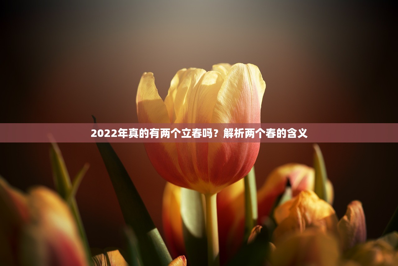 2022年真的有两个立春吗？解析两个春的含义