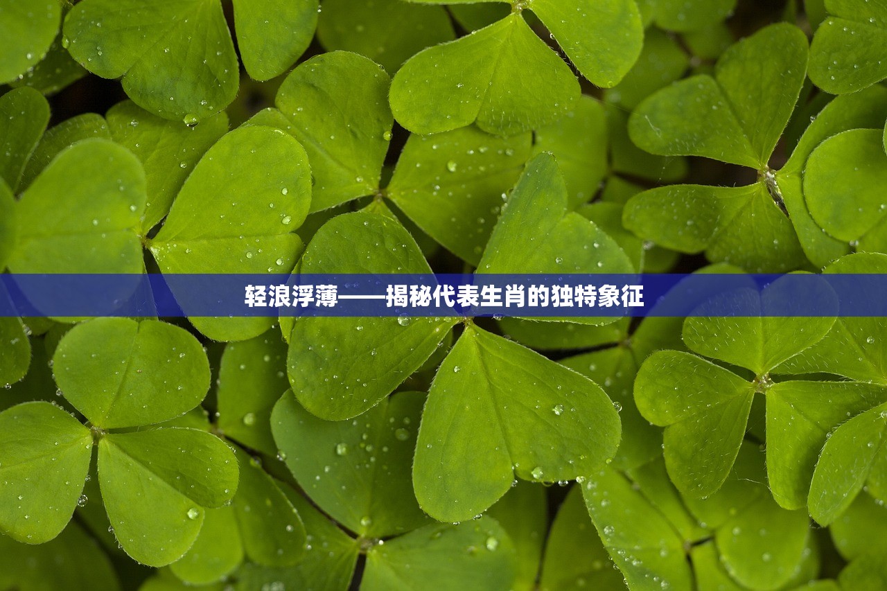 轻浪浮薄——揭秘代表生肖的独特象征