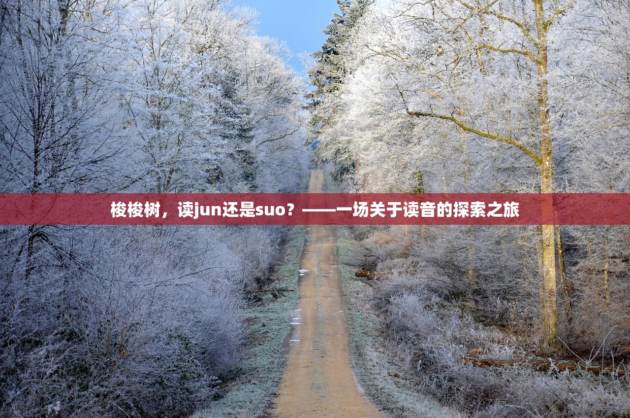 梭梭树，读jun还是suo？——一场关于读音的探索之旅