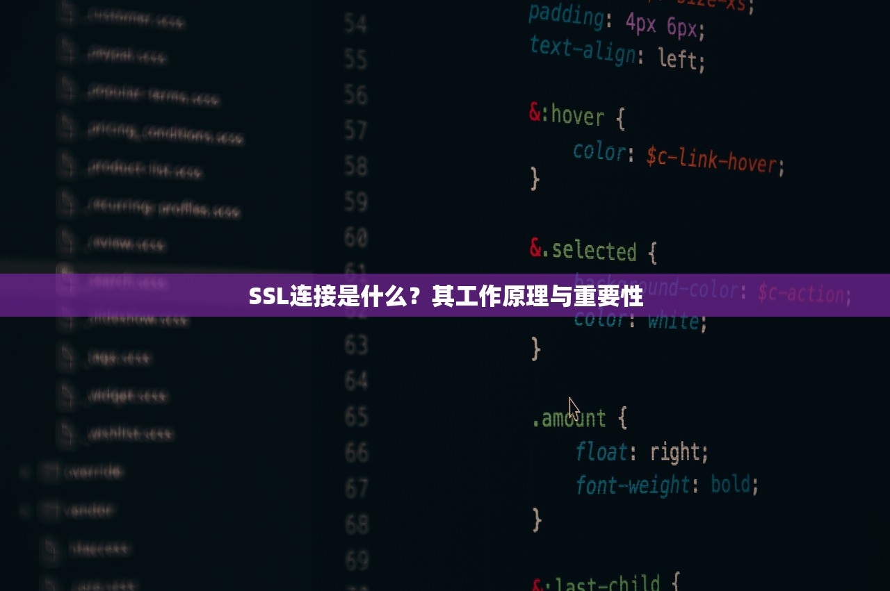 SSL连接是什么？其工作原理与重要性