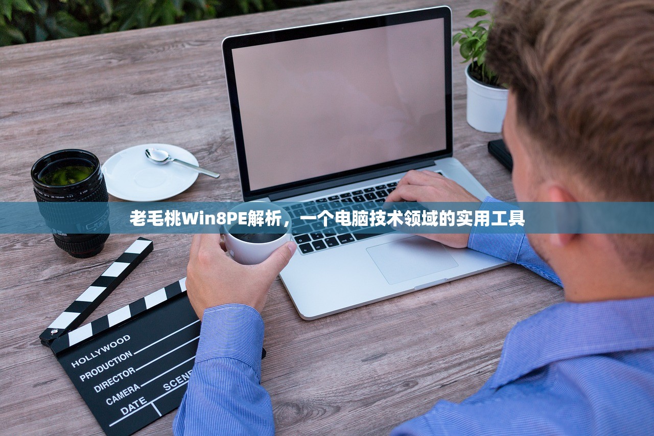 老毛桃Win8PE解析，一个电脑技术领域的实用工具