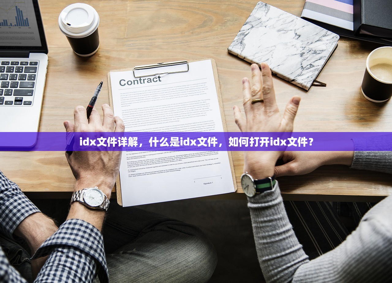 idx文件详解，什么是idx文件，如何打开idx文件？