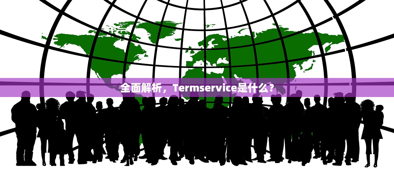 全面解析，Termservice是什么？