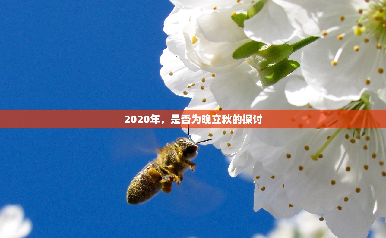 2020年，是否为晚立秋的探讨