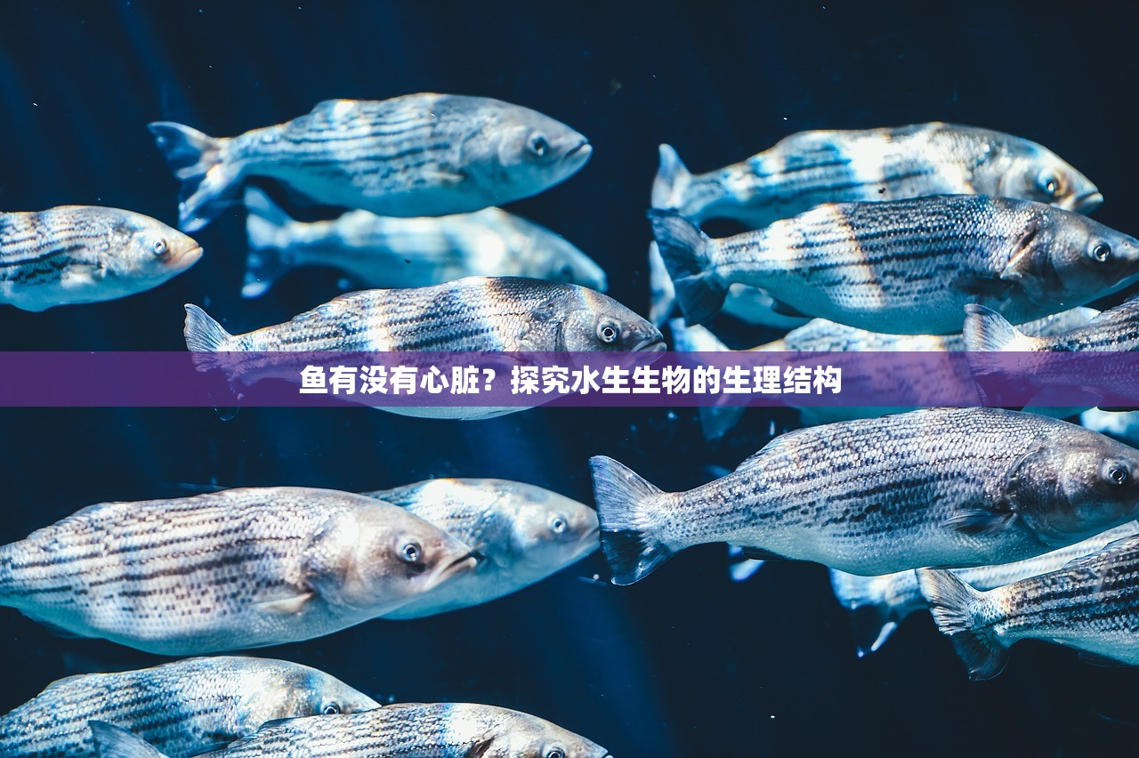 鱼有没有心脏？探究水生生物的生理结构