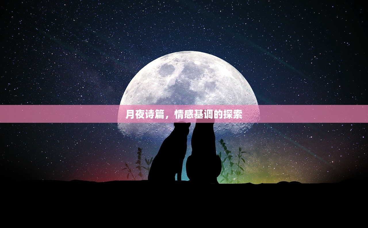 月夜诗篇，情感基调的探索