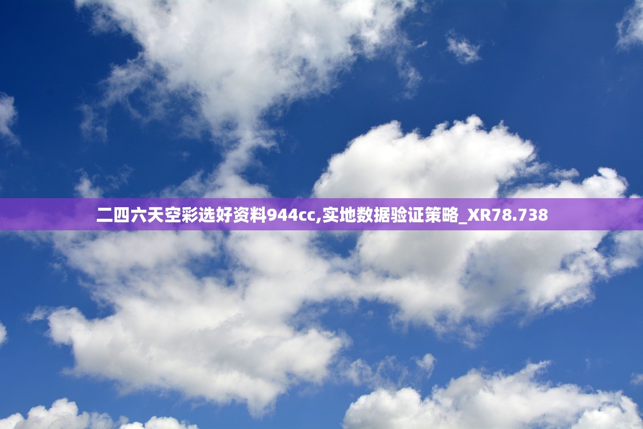 二四六天空彩选好资料944cc,实地数据验证策略_XR78.738