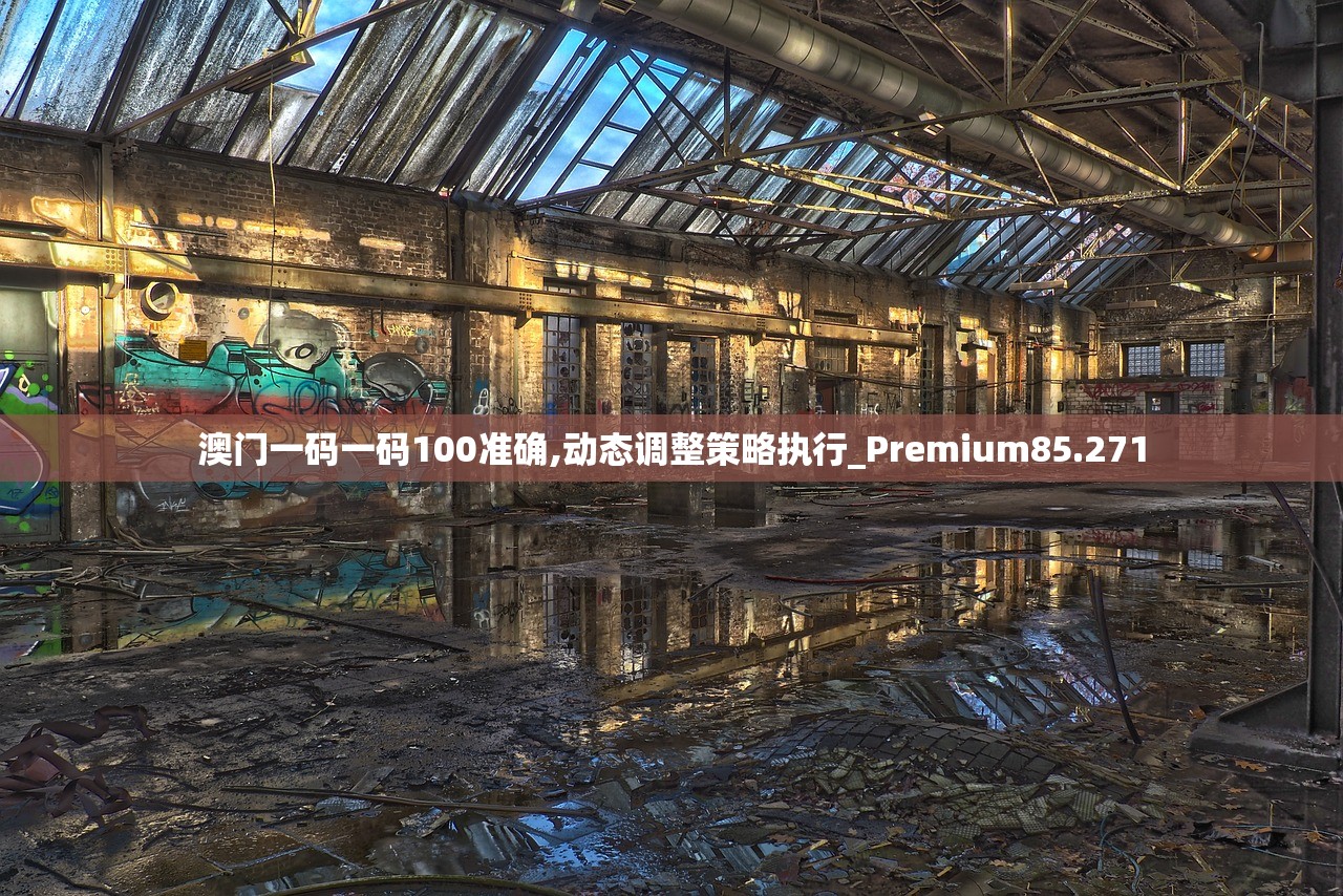 澳门一码一码100准确,动态调整策略执行_Premium85.271