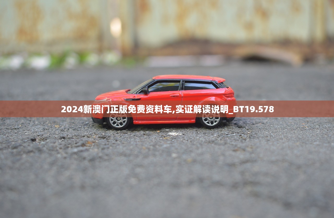 2024新澳门正版免费资料车,实证解读说明_BT19.578