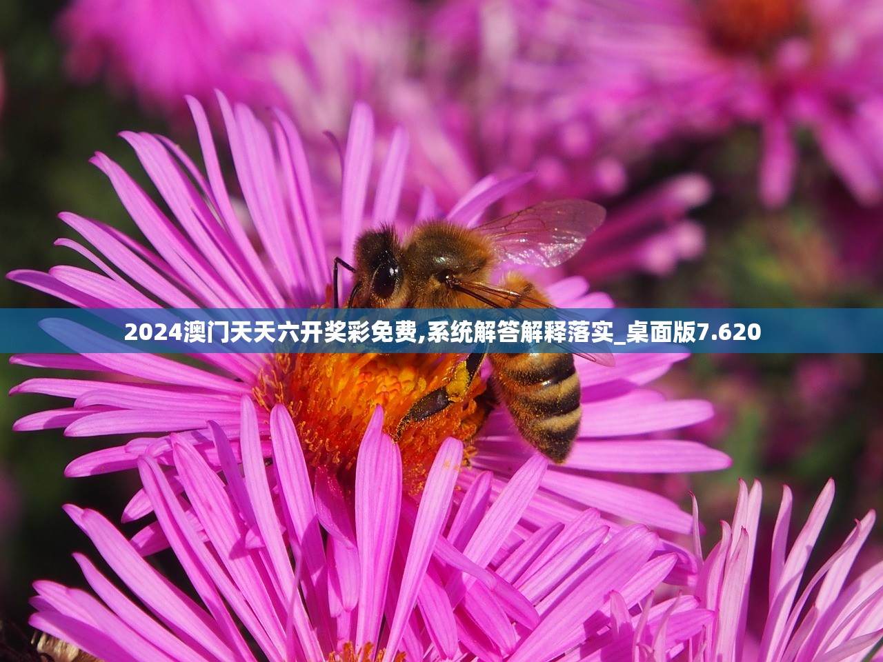 2024澳门天天六开奖彩免费,系统解答解释落实_桌面版7.620