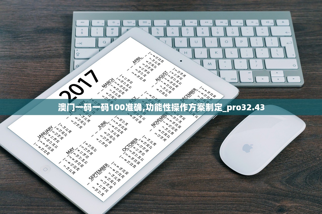 澳门一码一码100准确,功能性操作方案制定_pro32.43