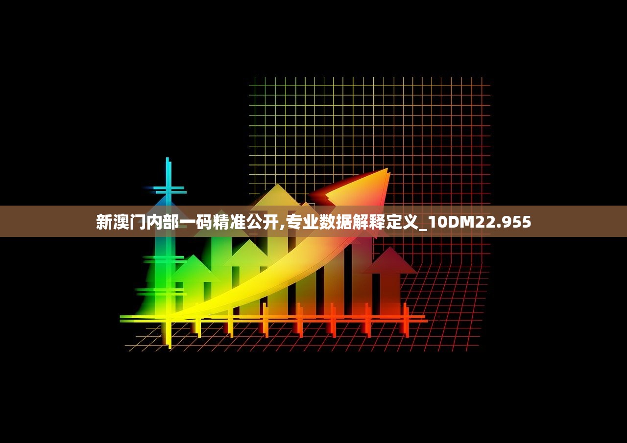 新澳门内部一码精准公开,专业数据解释定义_10DM22.955