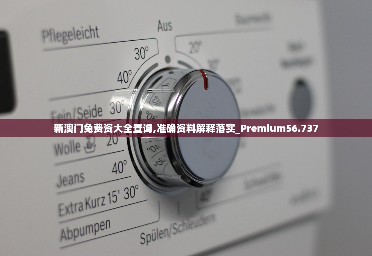 新澳门免费资大全查询,准确资料解释落实_Premium56.737