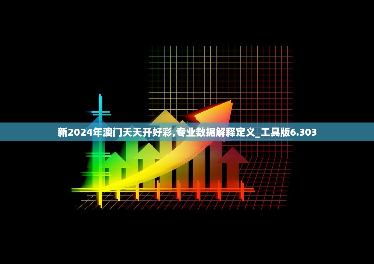 2024年12月2日 第13页