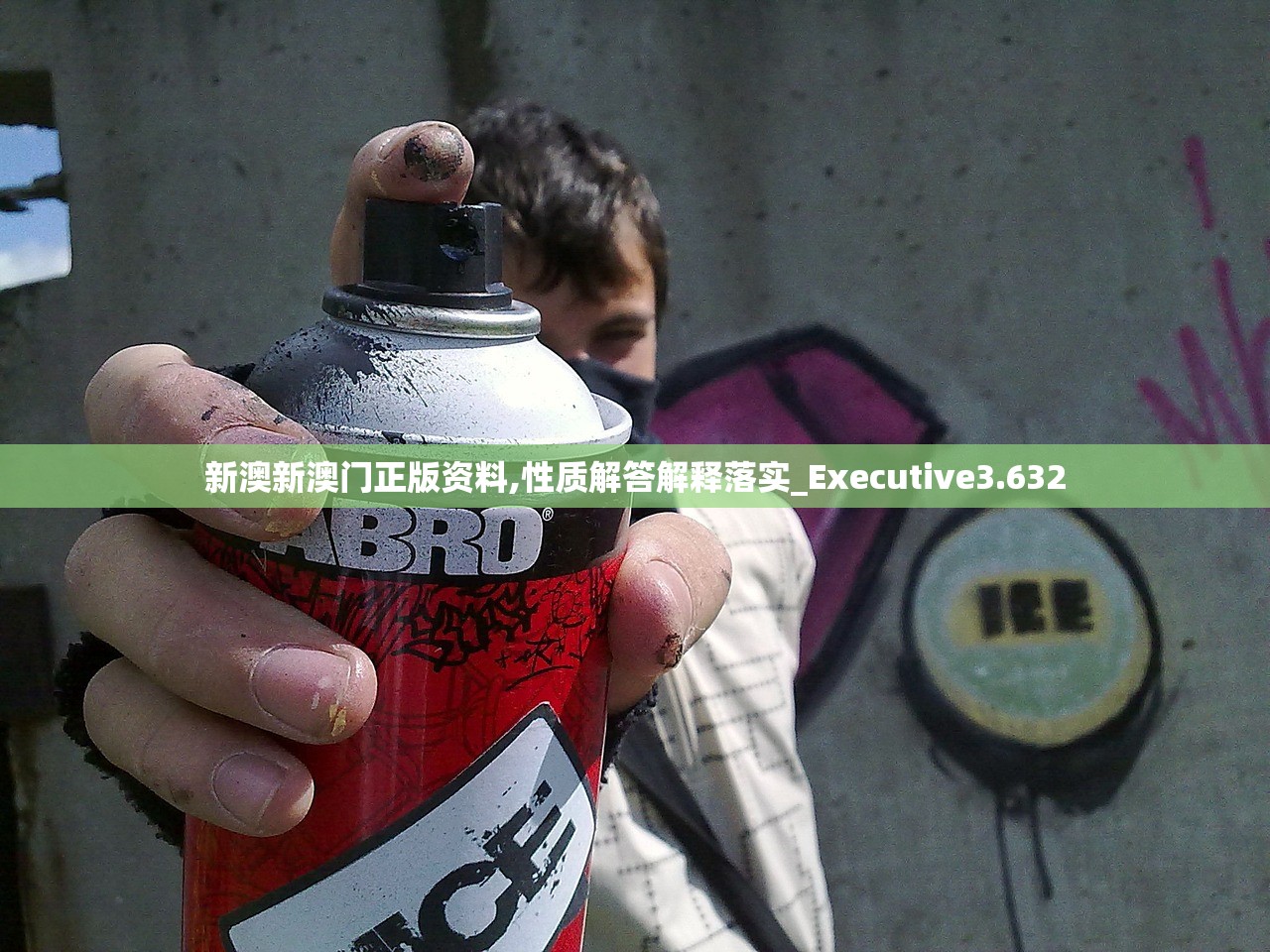 新澳新澳门正版资料,性质解答解释落实_Executive3.632