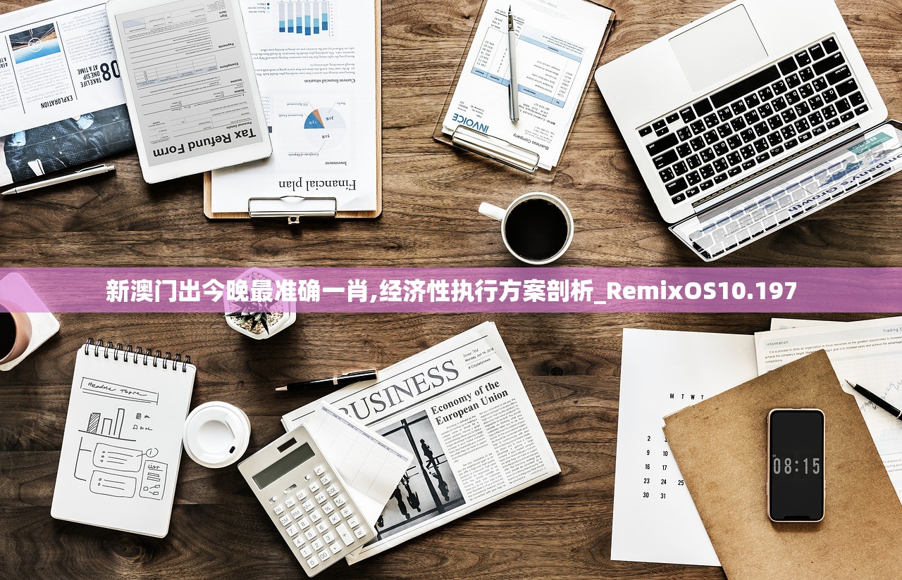 新澳门出今晚最准确一肖,经济性执行方案剖析_RemixOS10.197