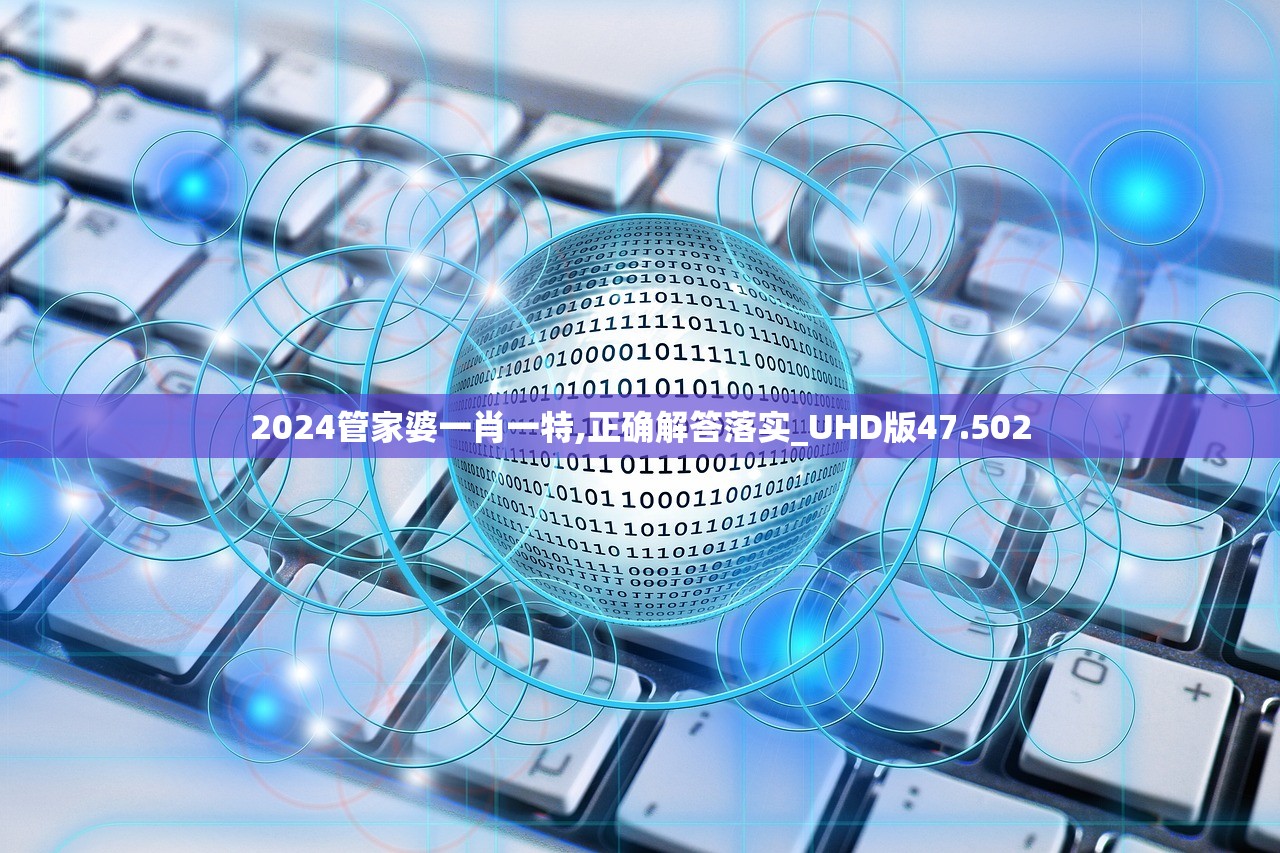 2024管家婆一肖一特,正确解答落实_UHD版47.502